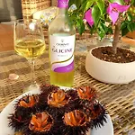 Santina -