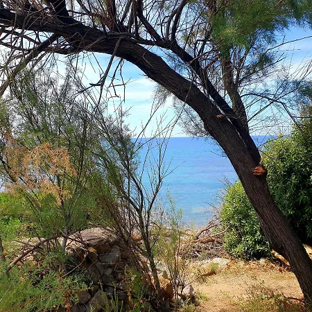 Santina - * Cefalu