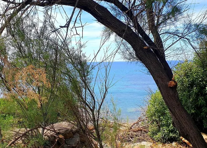 Santina - * 切法卢